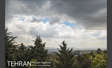 بوستان جنگلی لویزان 20