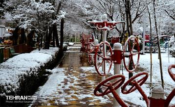 روز برفی در منطقه 8 45