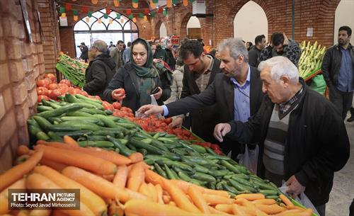 افتتاح ۱۰ بازار میوه و تره بار 10