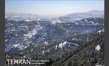 طبیعت برفی تلو 19