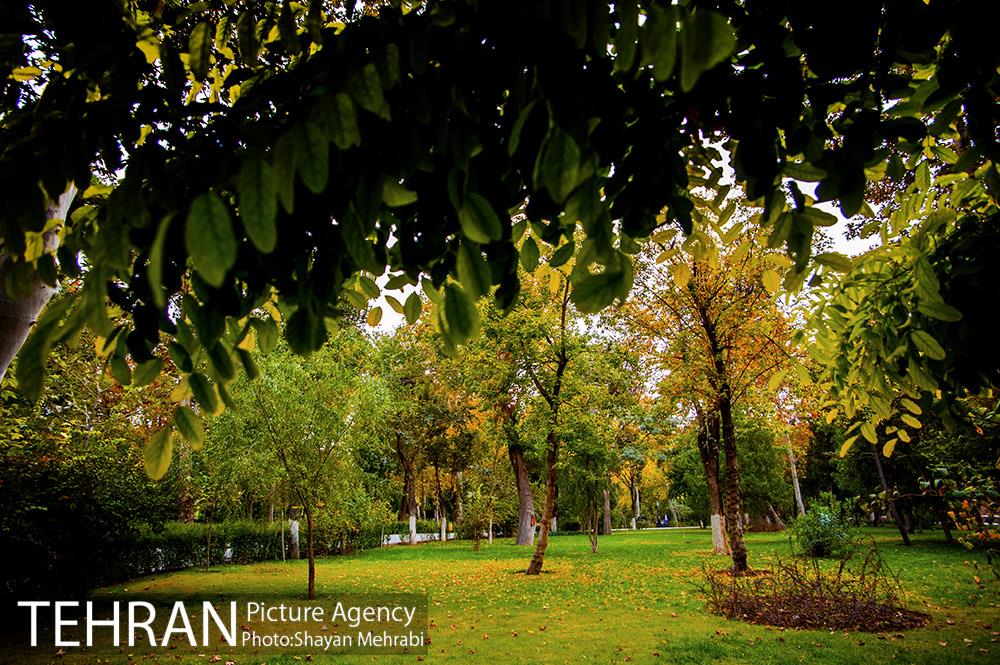 پاییز پارک شهر 20