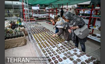 هفدهمین نمایشگاه بین‌المللی گل و گیاه 33