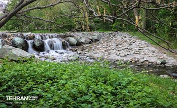 باغ گیاه‌شناسی 24