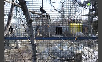 پارک پردیسان 1