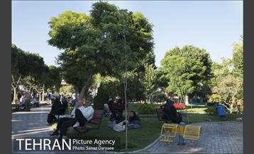 بوستان شقایق 5