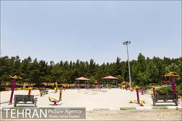 بوستان جنگلی یاس فاطمی 28