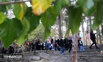 همایش‌ پیاده‌روی خانوادگی کارکنان شهرداری تهران 33