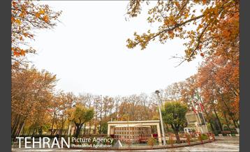 سمفونی برگ های پاییزی 5