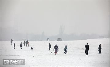 بارش برف در تهران 13
