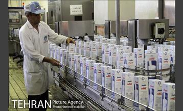 خط تولید شرکت صنایع شیر ایران 13