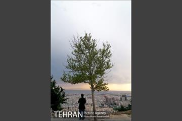 آماده سازی بخش های جدید بوستان پرواز 6