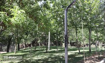 افتتاح بوستان ملل در منطقه ۳ 12