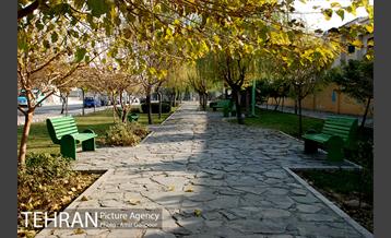 بوستان بنفشه 12