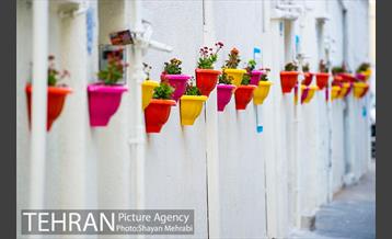 کوچه امیدی رنگ نوروز گرفت 12