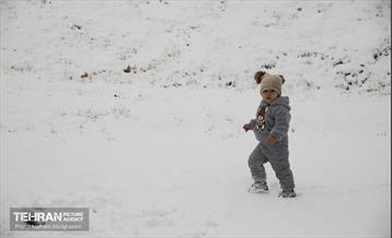 روز برفی تهران - 2 11