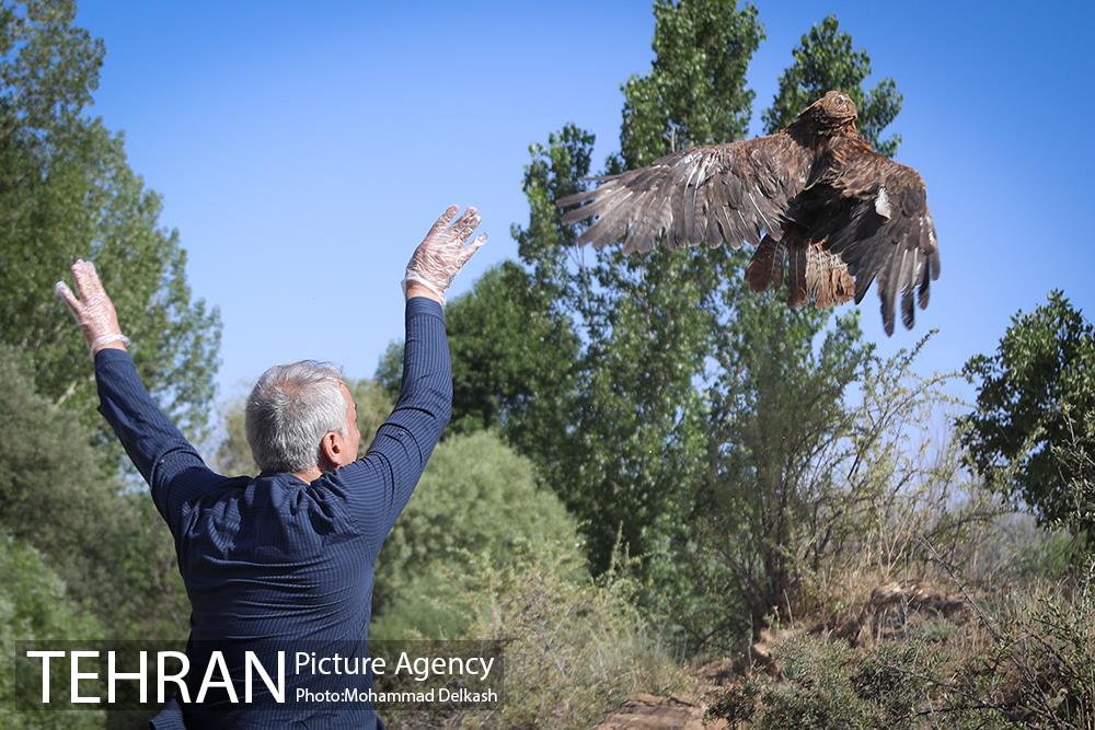 آزادسازی پرندگان و جمع آوری زباله در پارک جنگلی خجیر 14