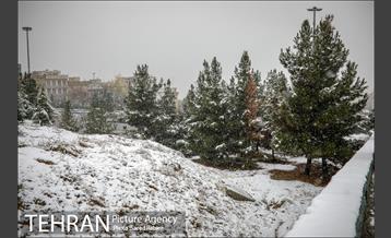 بارش نخستین برف پاییزی در تهران 2