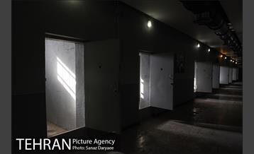 باغ موزه قصر 42