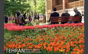 لاله های بهاری بوستان مختاری 24