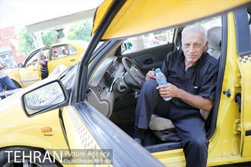 زیر آفتاب سوزان 23