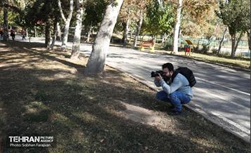 تور عکاسی بوستان بعثت 21