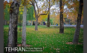 پاییز در بوستان ملت 33