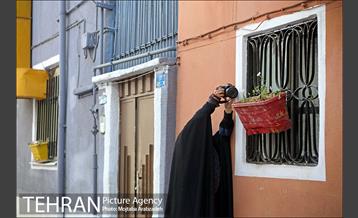 تور عکاسی منطقه 9