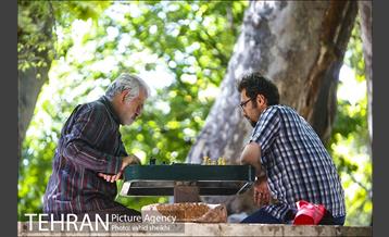 بوستان قیطریه 10