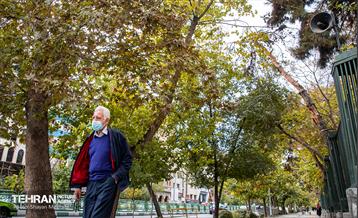 سمفونی رنگ های پاییزی  6