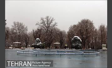 روز برفی بلوار کشاورز 6