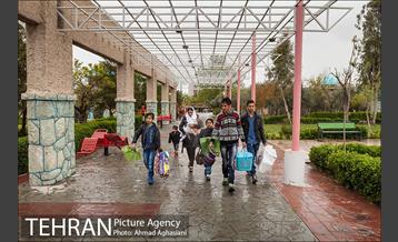 روز طبیعت بارانی در بوستان رازی 21