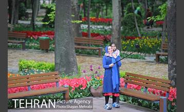 باغ ایراتی (بوستان مهندس مختاری) 19