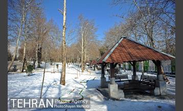 فصل زمستان در بوستان ملت 44