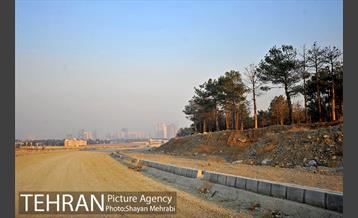 فراموش شدگان اداره منابع طبیعی در بوستان چیتگر 7