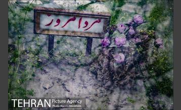 گورستان ظهیرالدوله 29