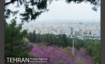 طبیعت بهاری بوستان سرخه حصار‎ 13