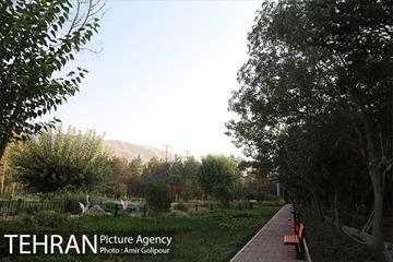 باغ راز هستی 39