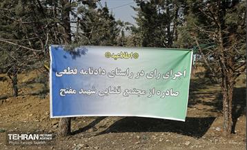 جابجایی اصولی 106 اصله درخت در منطقه 5 شهرداری 23