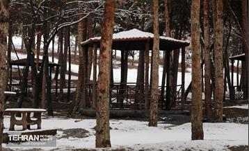 روز برفی در بوستان جنگلی سرخه‌حصار 15