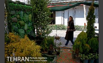 نمایشگاه گل و گیاه نوروزی در پیاده راه ۱۷ شهریور