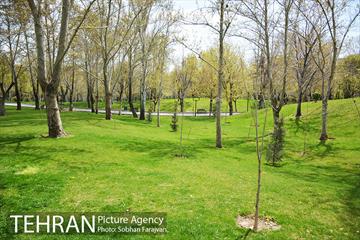 روز طبیعت متفاوت شهر تهران-1 15
