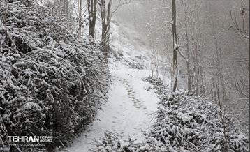 بارش برف زمستانی در تهران 22