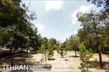 بوستان میعاد 10