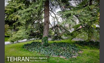 بوستان ملت 11