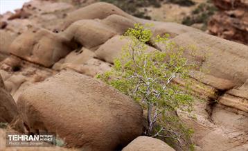 هوای بهاری منطقه 22 8