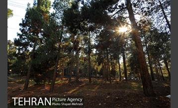 پارک جنگلی سرخه حصار 20