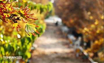 گذر پاییزی بوستان رازی 6