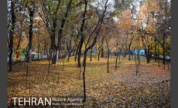 پاییز در پارک شهر 21