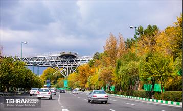 سمفونی رنگ های پاییزی  33