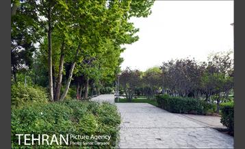 بوستان پلیس 12